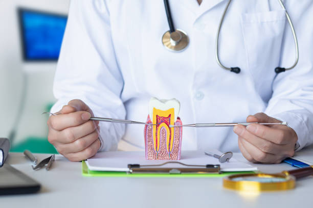 Best Emergency Dentist for Knocked-Out Tooth in Curwensville, PA